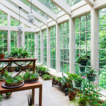 The Ultimate Guide to Indoor Gardening
